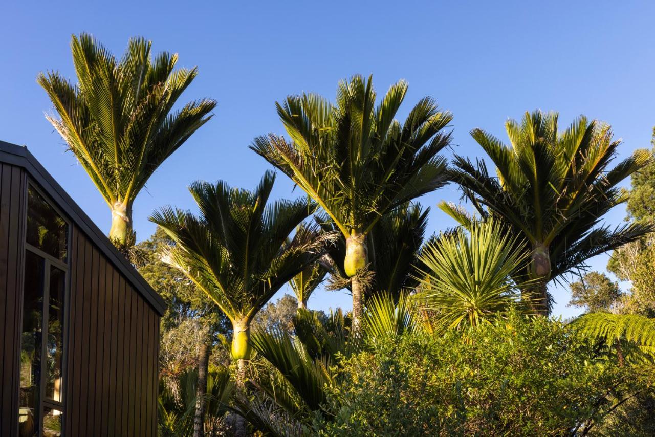 Punakaiki Forest Retreat Buitenkant foto
